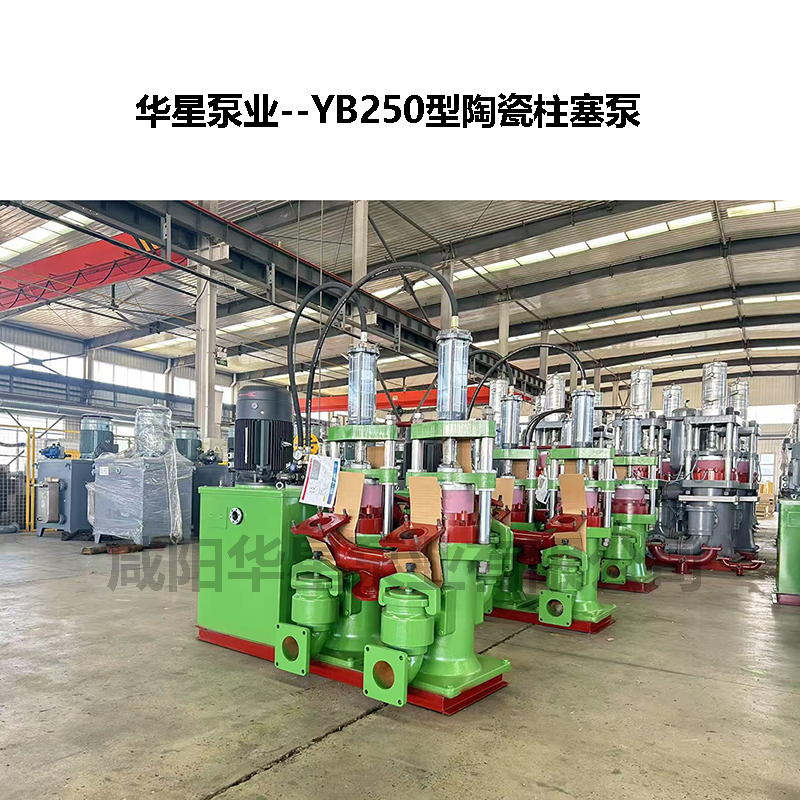 250 泵