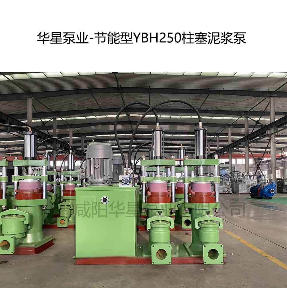 污水處理廠訂購一臺(tái)YBH250壓濾機(jī)專用泵